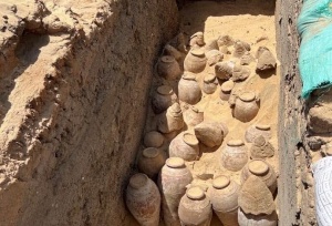 В Египте обнаружили кувшины с вином возрастом около 5000 лет