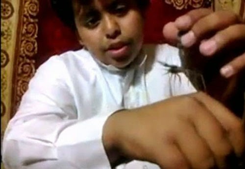 Видео: Саудовский ребенок съел живого скорпиона 