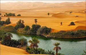 Исследование: Аравийский полуостров когда-то был зеленой саванной