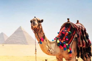 Министерство туризма Египта спонсирует досуг туристов 