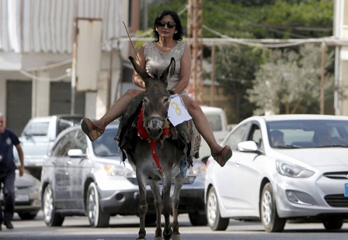 Ослы, как средство передвижения, набирают актуальность в Ливане 