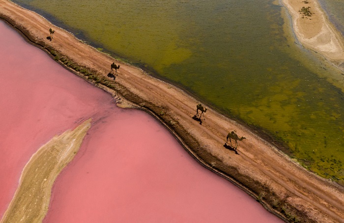 Розовые озера – уникальное и живописное природное достояние Омана