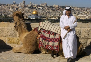 Как останки палестинского верблюда изменили сказания Торы об Аврааме?