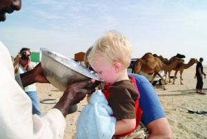 Пейте дети молоко… верблюжье 