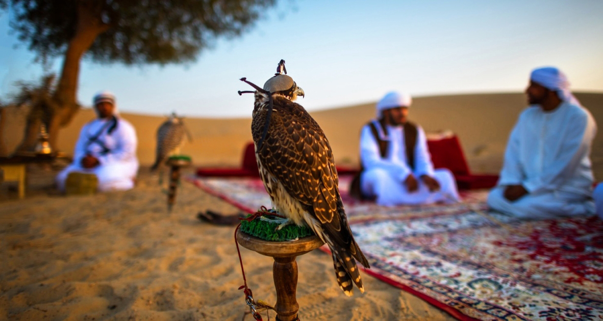 Заповедник Аль-Мармум в Дубае — место для любителей природы и приключений 