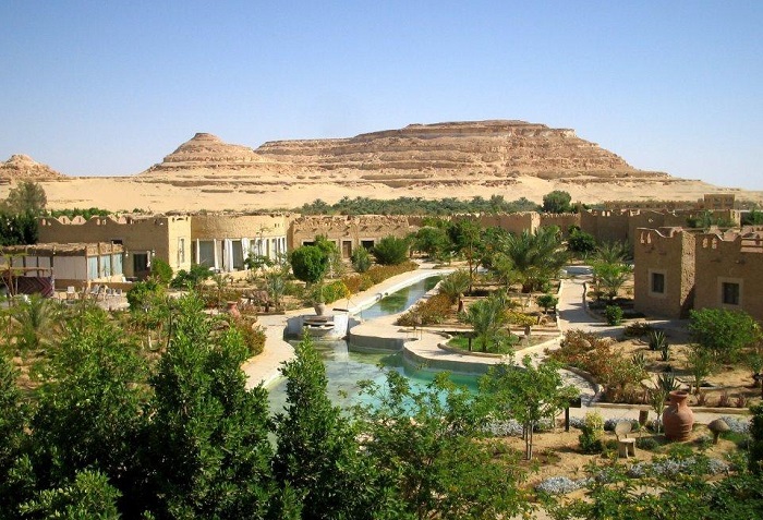 Ваш гид в незабываемое путешествие по оазису Сива в Египте