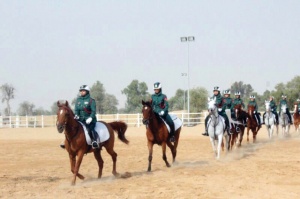 Полиция Дубая запускает женский конный патруль 