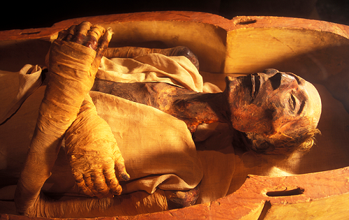 Мумия короля Рамсеса II, которая использовалась для детального исследования