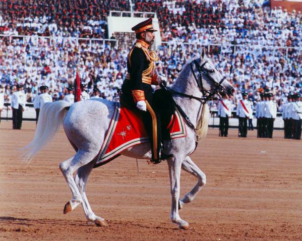 Султан Омана верхом на коне
