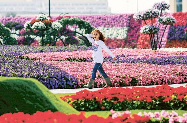 45 миллионов цветов распустилось в «чудо-саду» Дубая